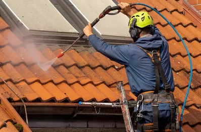 Démoussage et hydrofuge de toiture à Bibost